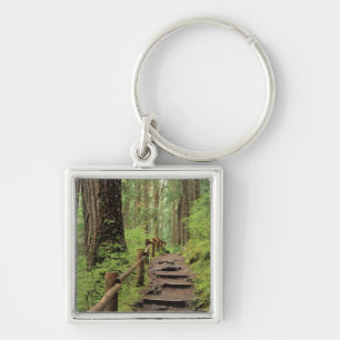 Llavero WA, Parque Nacional Olympic, Valle de Sol Duc, bos