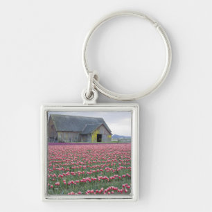 Llavero WA, Valle de Skagit, Campo de Tulipanes y Granero