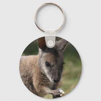 Llavero Wallaby