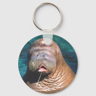 Llavero Walrus Eyes Closed Keychain