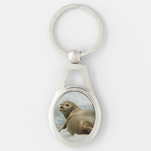 Llavero Wary Seal (Anverso)