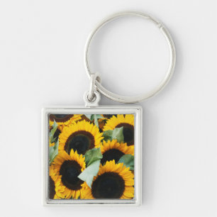 Llavero Washington, Seattle, Girasol a la venta pike