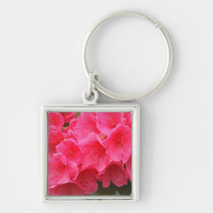 Llavero Washington, Seattle, Puget Sound, Discovery Park