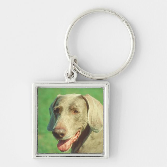 Llavero Weimaraner (Frente)