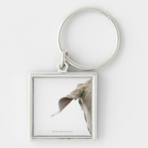 Llavero Weimaraner 2