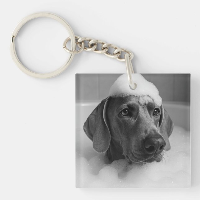 Llavero Weimaraner en el baño con burbujas en la cabeza (Frente)
