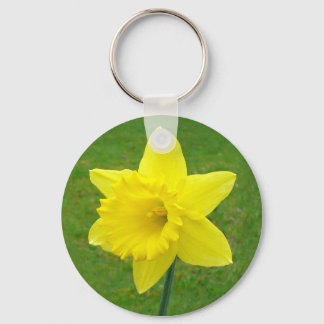 Llavero Welsh Daffodil