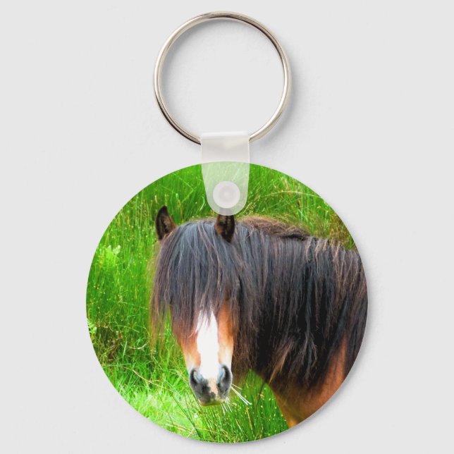 LLAVERO WELSH MOUNTAIN PONY (Anverso)