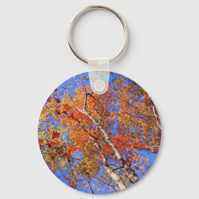 Llavero West Mt. Autumn Hot Springs National Park Gifts (Anverso)