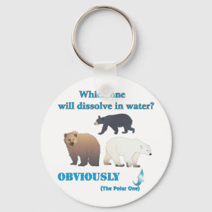 Llavero Which one will dissolve in water Polar Chemistry