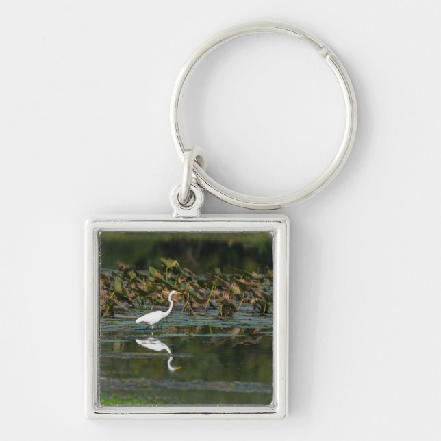 Llavero White Egret Reflection (Frente)