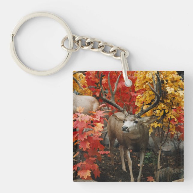 Llavero Whitetail En Otoño (Frente)