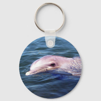 Llavero Wild Dophin
