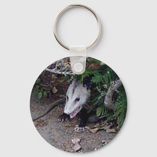 Llavero Wild Possum (Anverso)