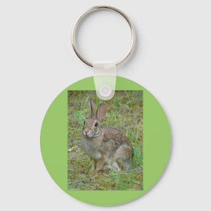 Llavero Wild Rabbit Eastern Cottontail Apparel and Gifts