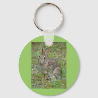 Llavero Wild Rabbit Eastern Cottontail Apparel and Gifts