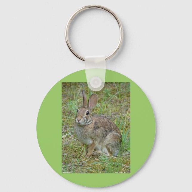 Llavero Wild Rabbit Eastern Cottontail Apparel and Gifts (Anverso)