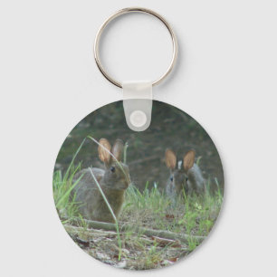Llavero Wild Rabbits Eastern Cottontail Pair Apparel Gifts