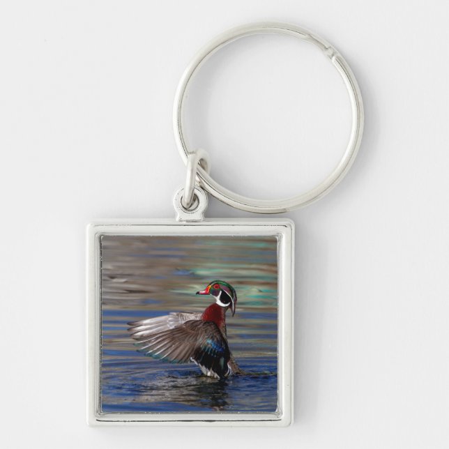Llavero Wing Flapping Wood Duck (Frente)