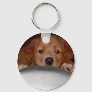 Llavero Winsome Pup Keychain