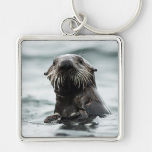 Llavero Wise Otter
