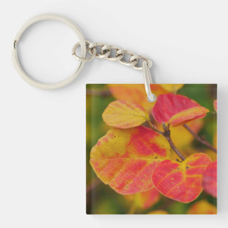 Llavero Witch Alder Key Ring
