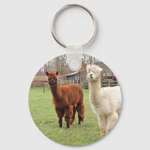 Llavero Wolly Alpacas ~ keychain