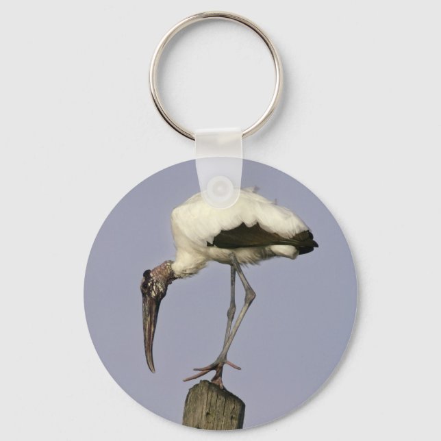 Llavero Wood Stork (Anverso)