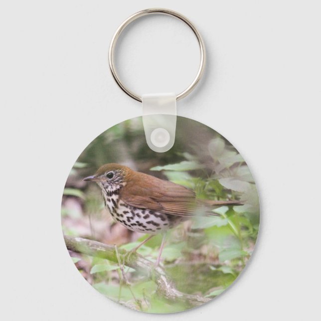 Llavero Wood Thrush (Anverso)