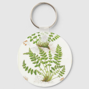 Llavero Woodsia Fern