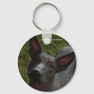 Llavero Xoloitzcuintli