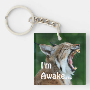 Llavero Yawning Bobcat