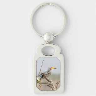 Llavero Yellow billed hornbill