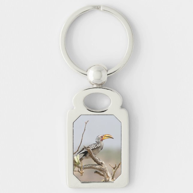 Llavero Yellow billed hornbill (Anverso)
