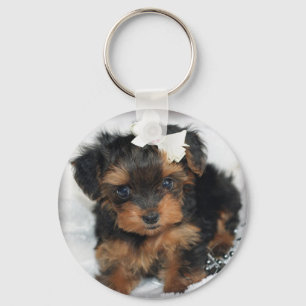 Llavero Yorkiepoo