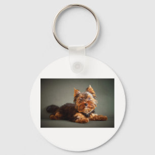 Llavero Yorkshire Terrier