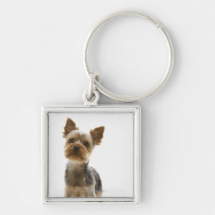 Llavero Yorkshire Terrier