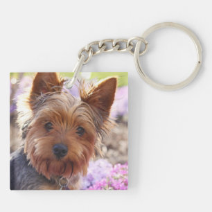 Llavero Yorkshire Terrier