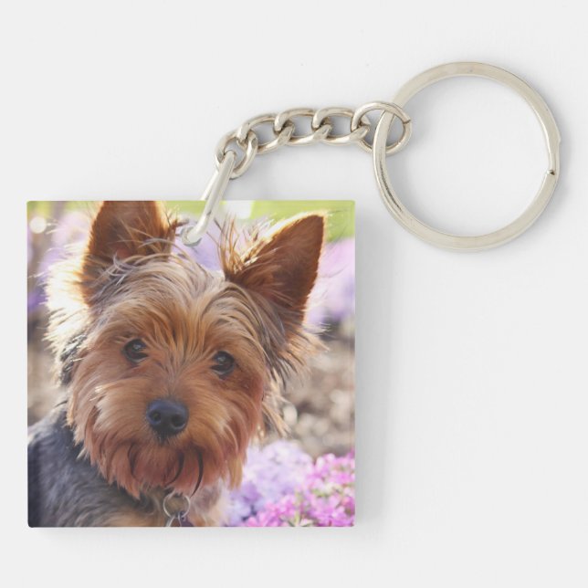 Llavero Yorkshire Terrier (Atrás)