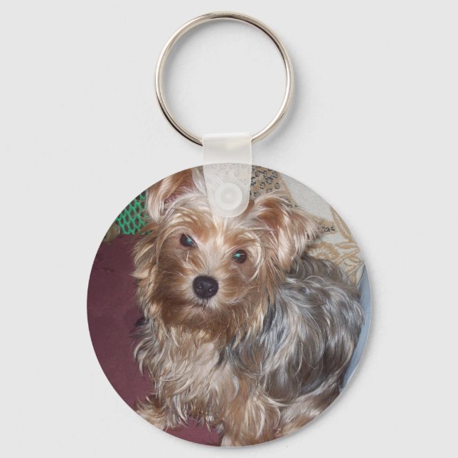 Llavero Yorkshire terrier lindo keyring (Anverso)