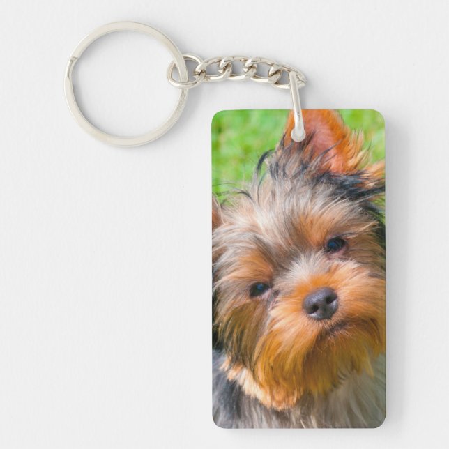 Llavero Yorkshire Terrier mirando hacia arriba (Frente)