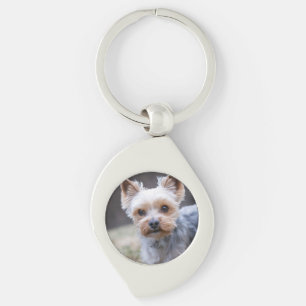 Llavero Yorkshire terrier, perro, Mascota