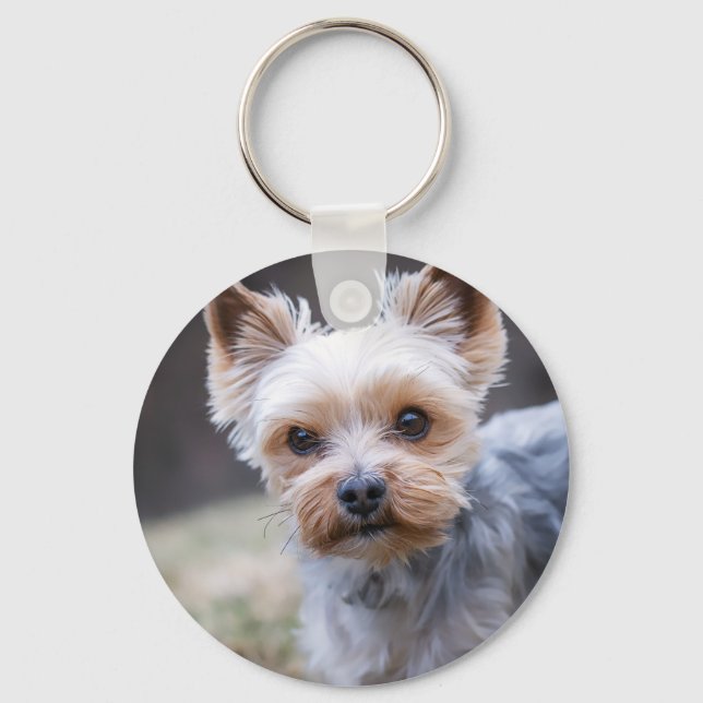 Llavero Yorkshire terrier, perro, Mascota (Anverso)