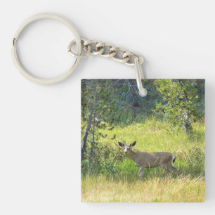 Llavero Young Buck en Yosemite, California