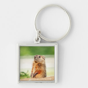 Llavero Young Groundhog