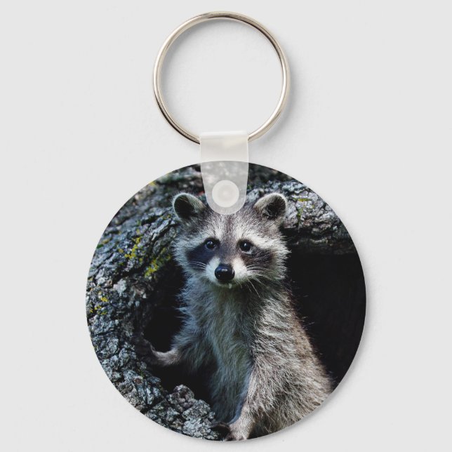 Llavero Young Raccoon (Anverso)