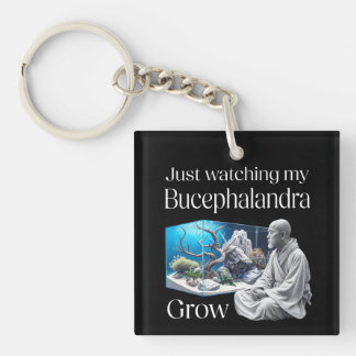 Llavero Zen and Bucephalandra – The Art of Aquascaping