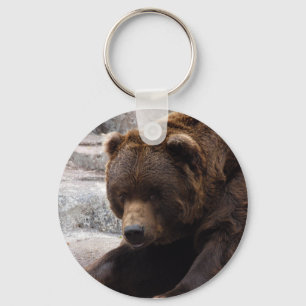 Llaveros del oso grizzly