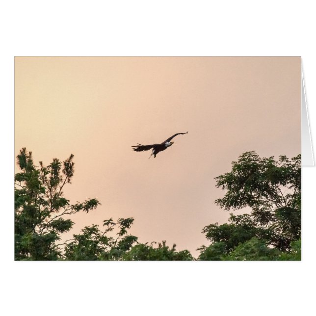 Llegada nocturna (Anverso (Horizontal))