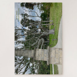 Llegar a través del tiempo - Rompecabezas pesimist